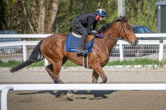 20260502-091809-DSC_7243