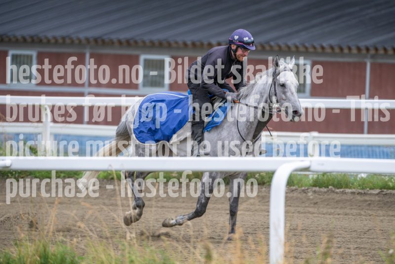 20250802-101926-DSC_5555