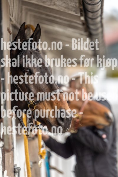 20220403-120401-DSC7394