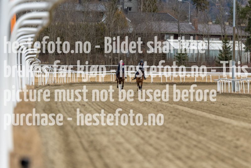 20220403-122926-DSC7501