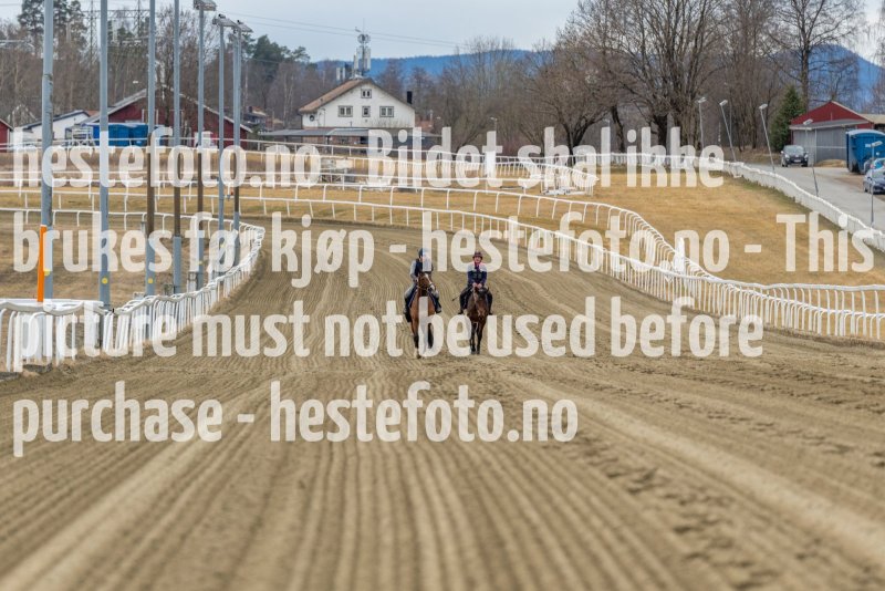 20220403-123051-DSC7537