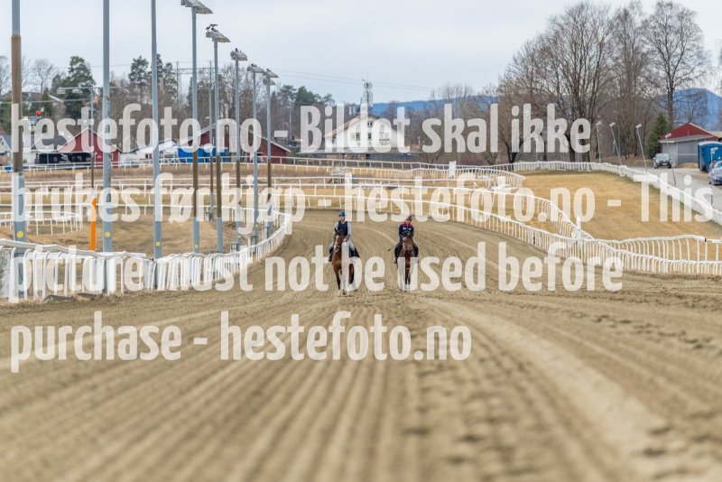 20220403-123058-DSC7541