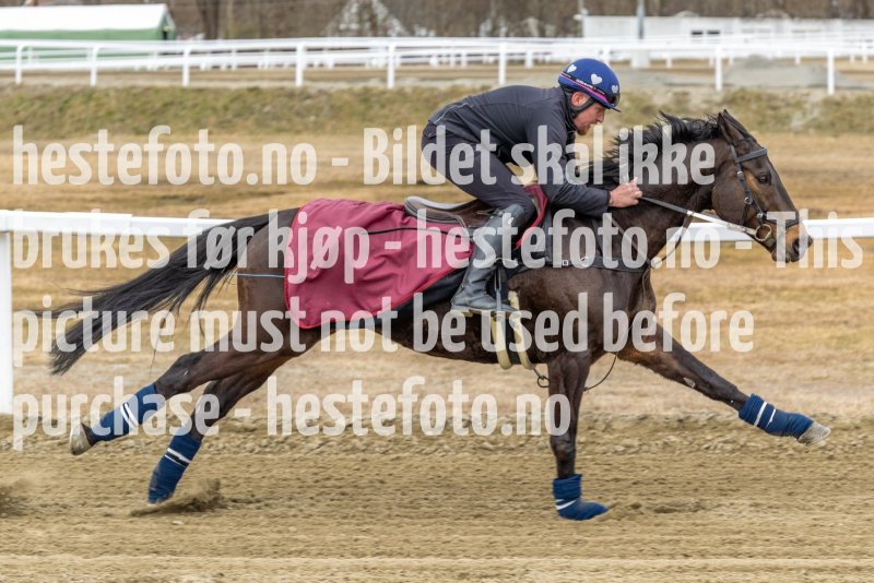 20220403-125509-DSC7615