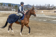 20220403-121943-DSC7461