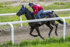 20250503-114713-DSC_1713