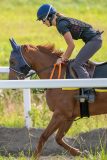 20240803-094934-DSC_2240