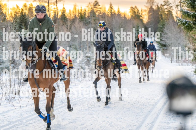 20230204-100145-DSC_2876