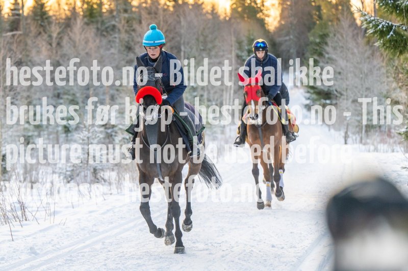 20230204-100148-DSC_2894
