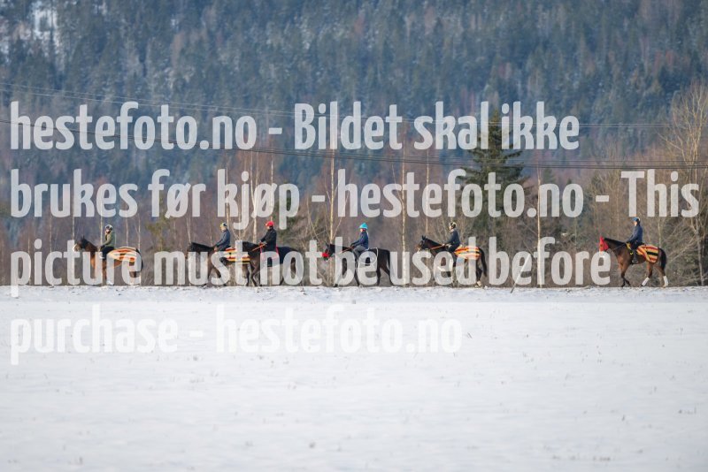 20230204-101824-DSC_3249