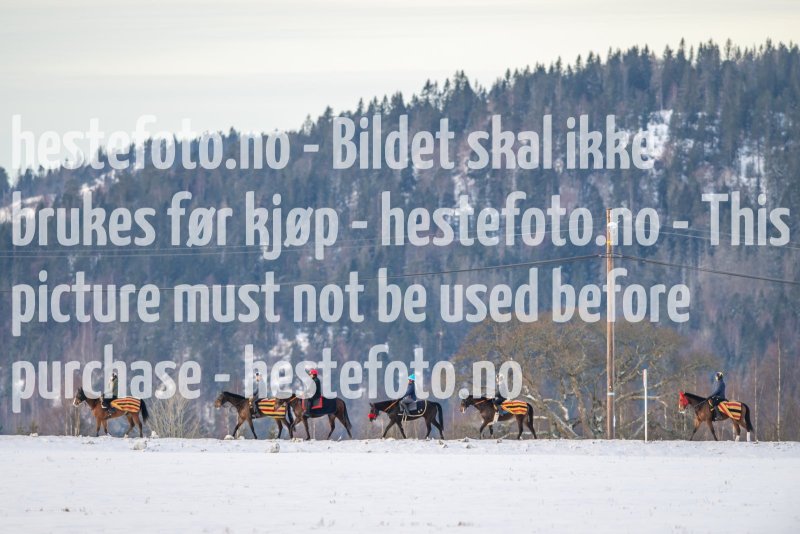 20230204-101837-DSC_3297