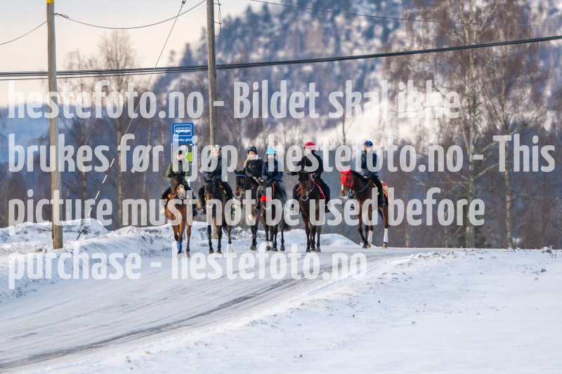 20230204-101920-DSC_3348