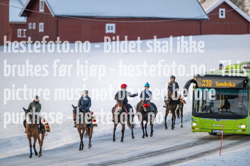 20230204-102103-DSC_3445