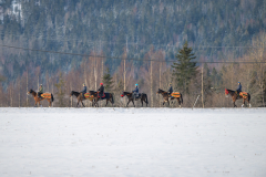20230204-101824-DSC_3249