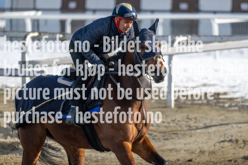 20230304-123910-DSC_5290