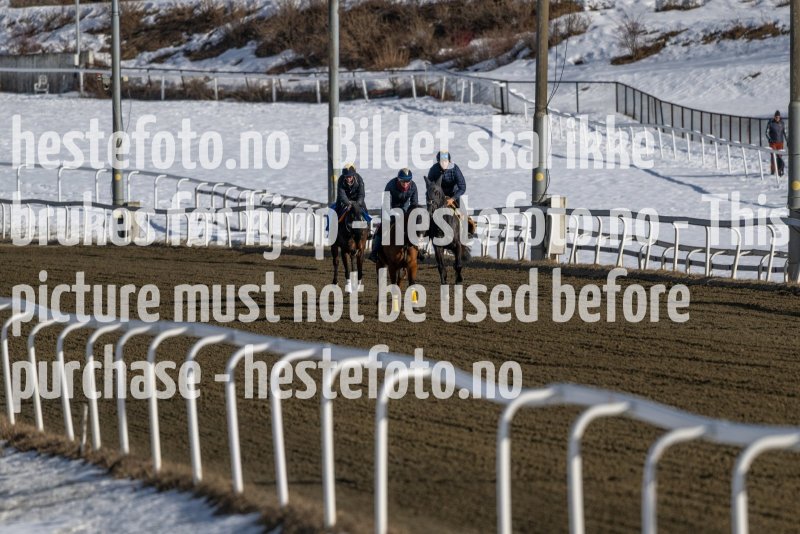 20230304-123937-DSC_5322