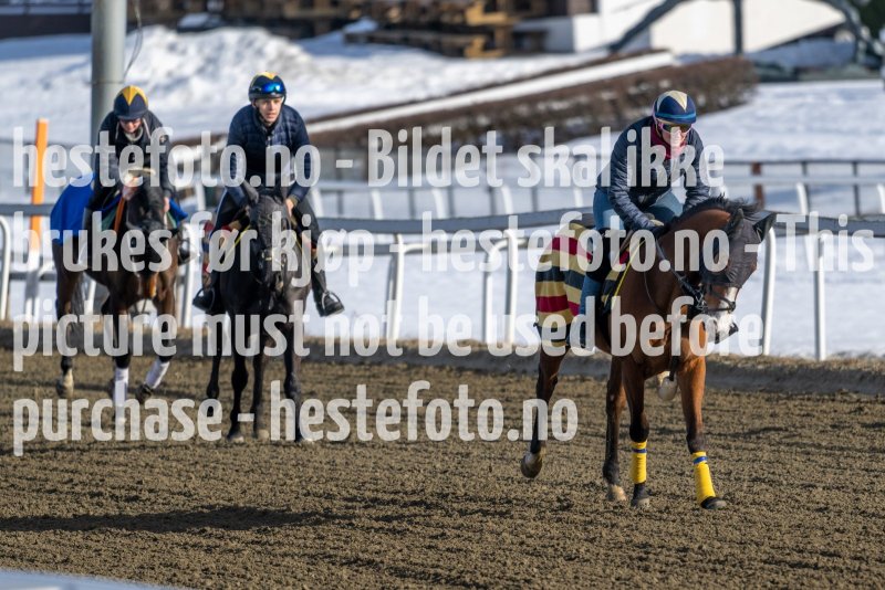 20230304-123953-DSC_5375