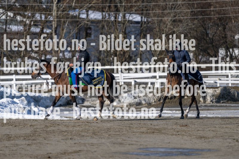 20230304-124021-DSC_5546
