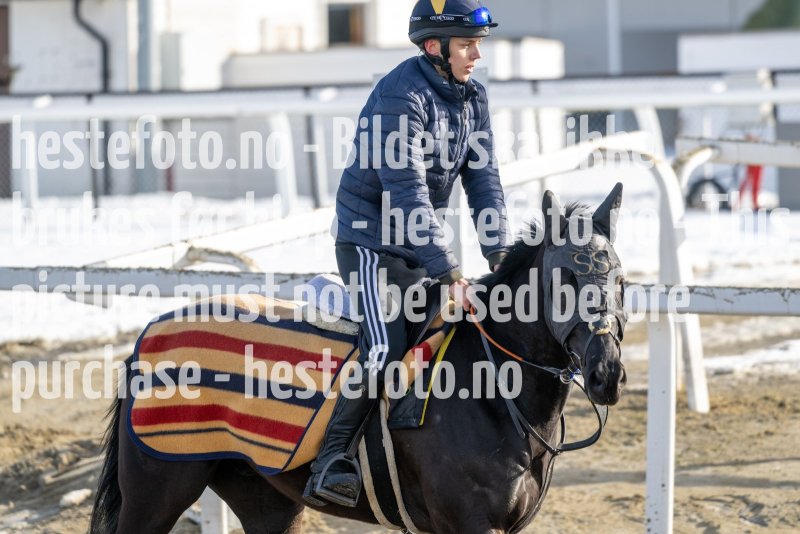 20230304-124413-DSC_5910