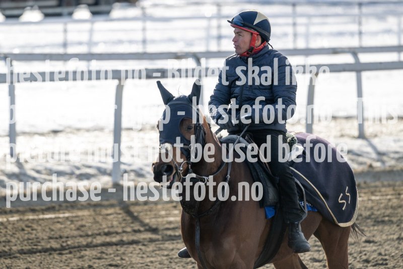 20230304-124418-DSC_5941