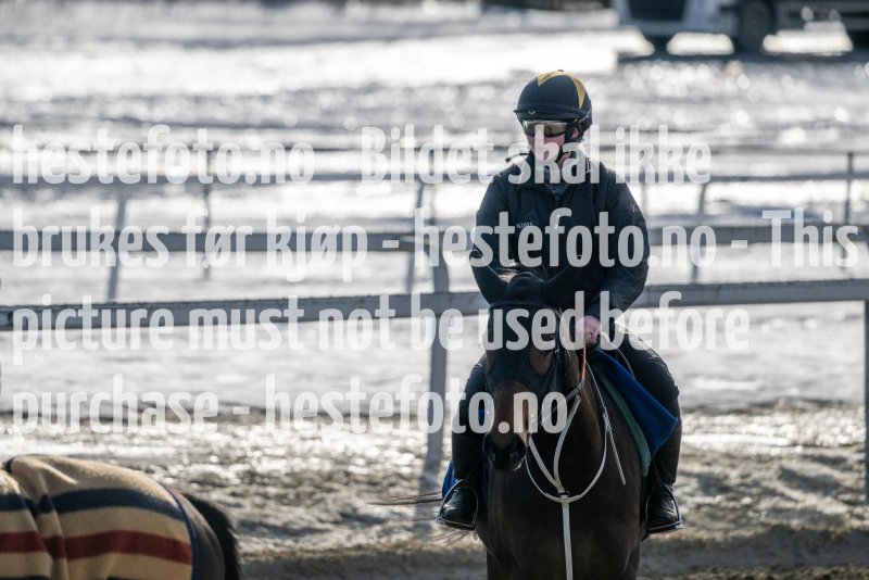 20230304-124436-DSC_6023