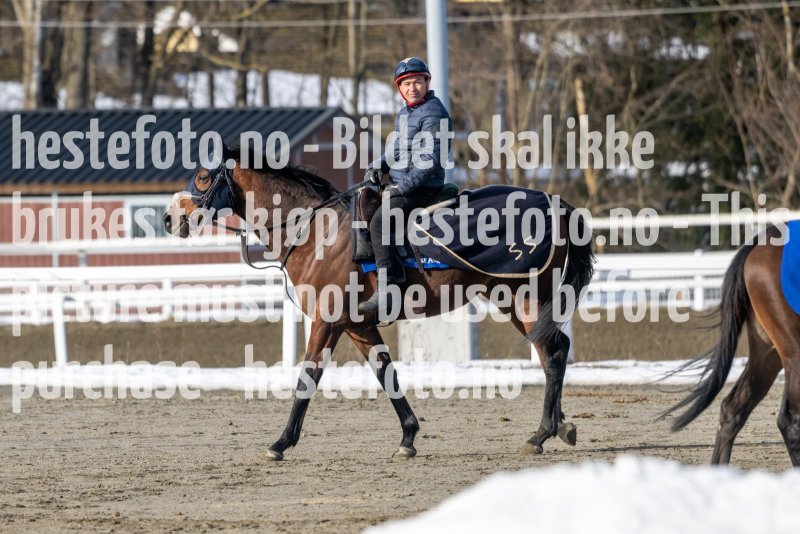 20230304-124656-DSC_6515