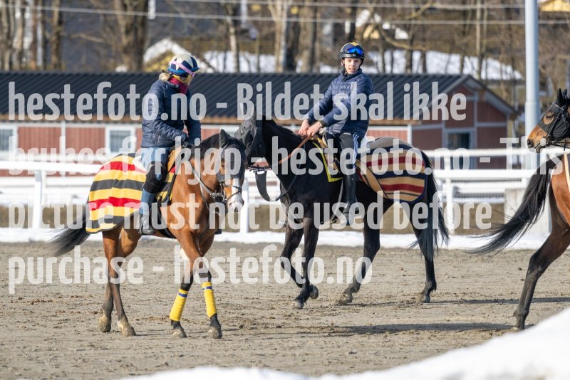 20230304-124708-DSC_6544