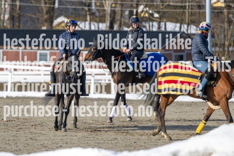 20230304-124711-DSC_6553