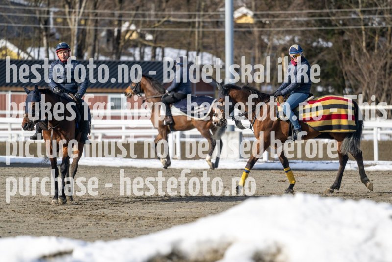 20230304-124818-DSC_6670