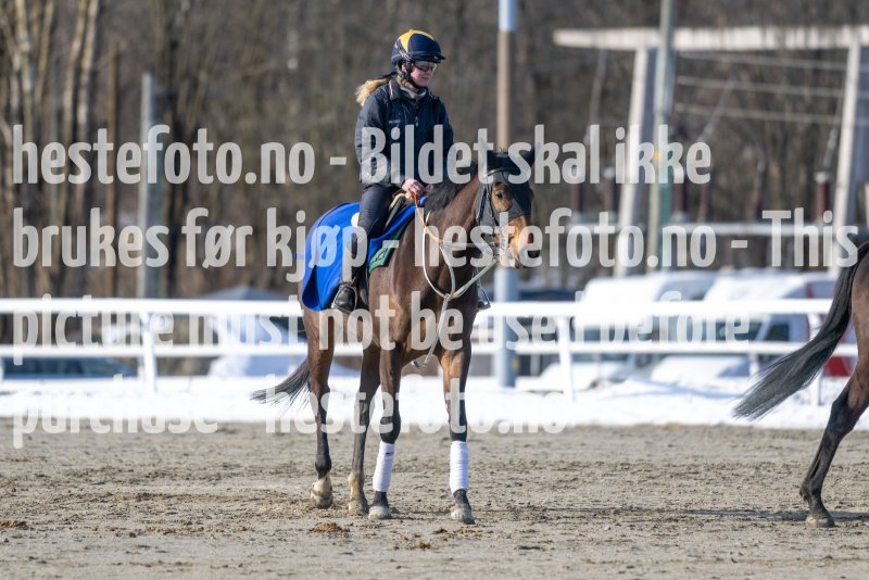 20230304-124931-DSC_6764