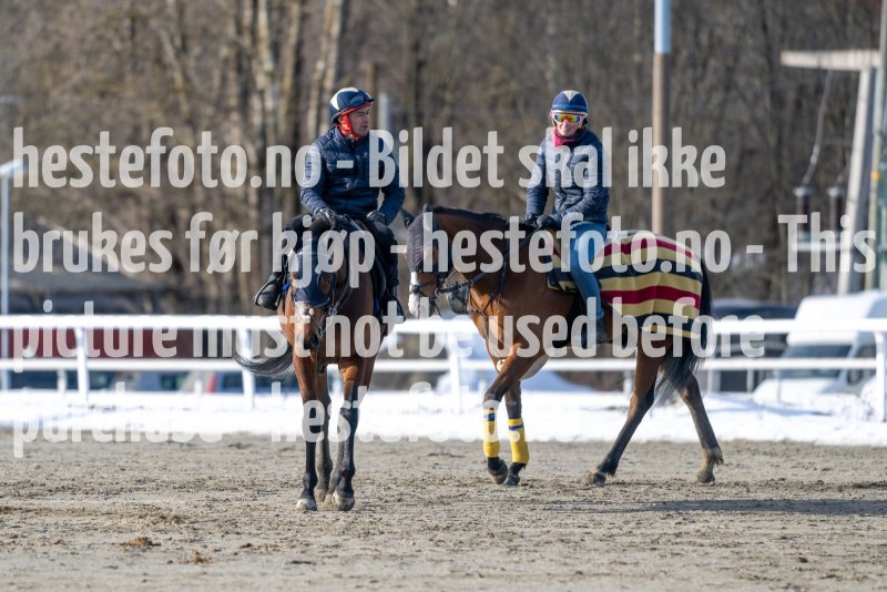20230304-124943-DSC_6778