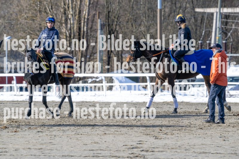20230304-125129-DSC_6858
