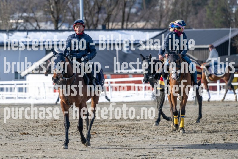 20230304-125151-DSC_6862