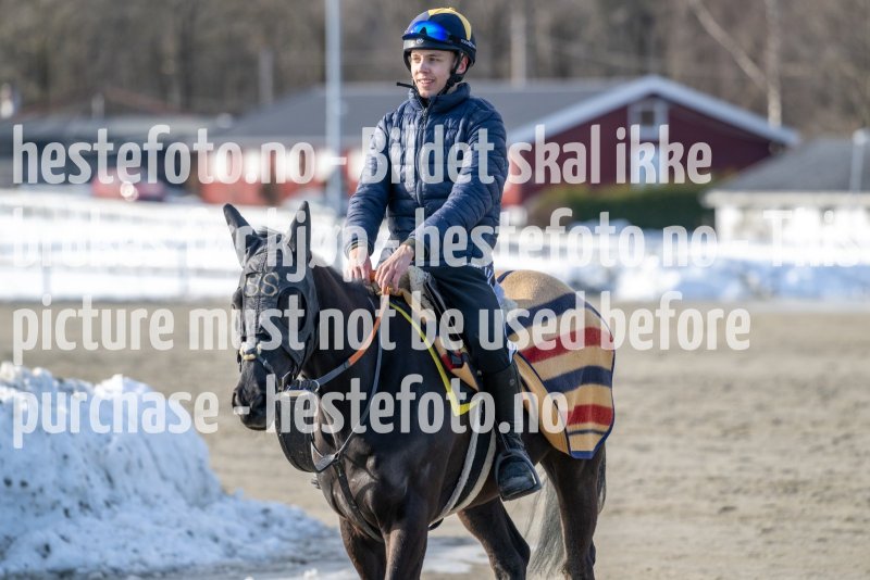 20230304-125214-DSC_6914
