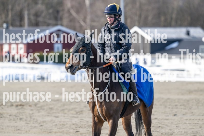 20230304-125216-DSC_6923