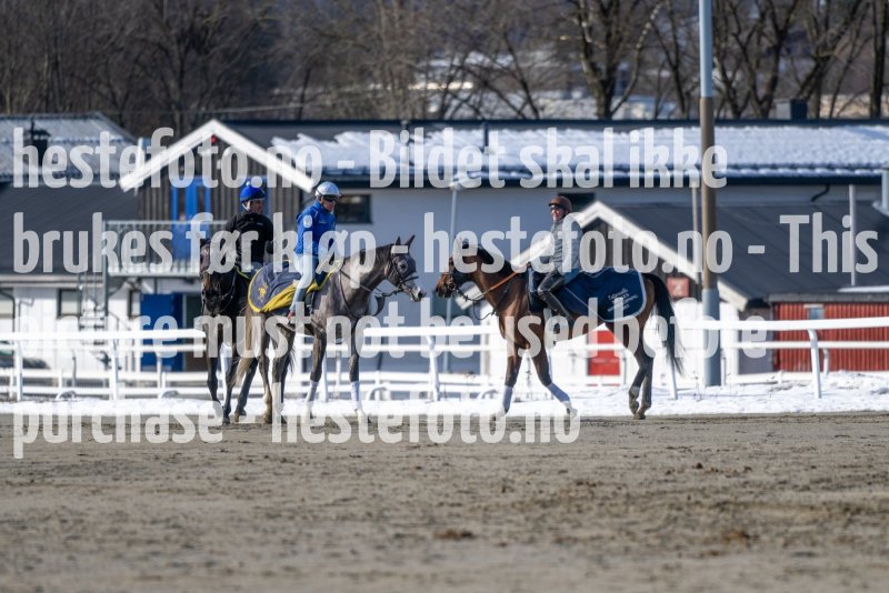 20230304-125239-DSC_6944