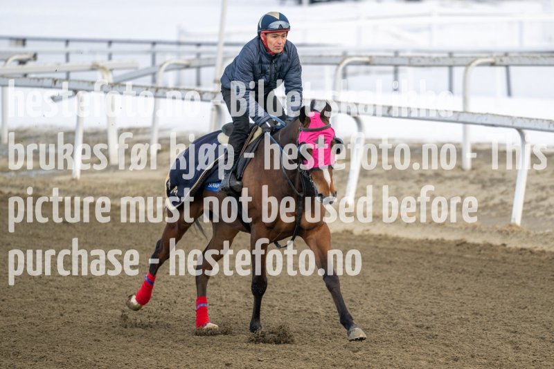 20230304-135425-DSC_7104