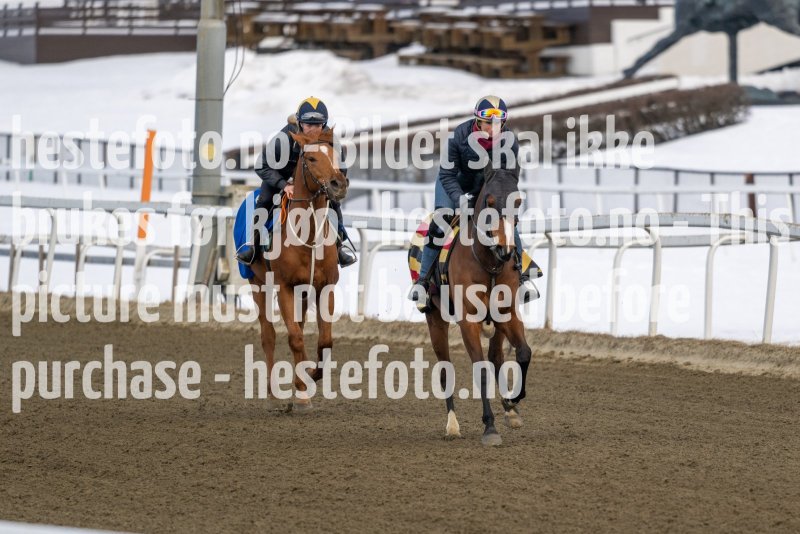 20230304-135543-DSC_7175