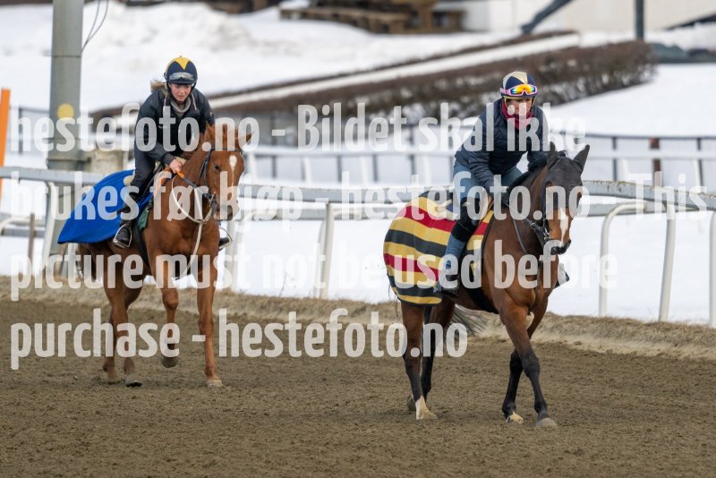 20230304-135924-DSC_7451