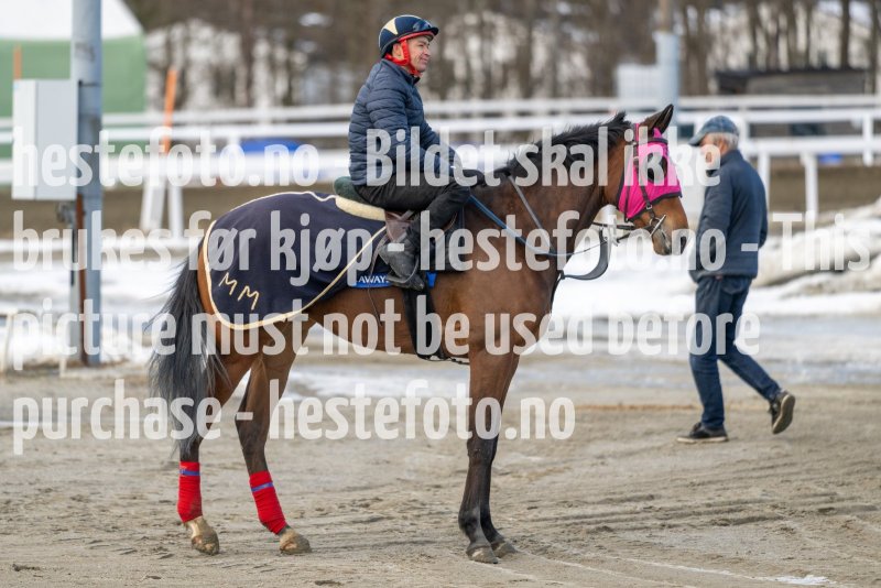 20230304-140033-DSC_7613