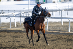 20230304-124327-DSC_5664
