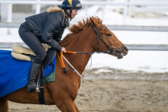 20230304-135555-DSC_7254