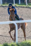 20240504-084352-DSC_4778