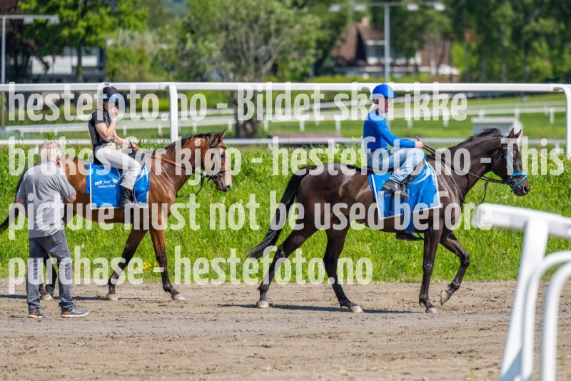 20220604-125003-DSC9247