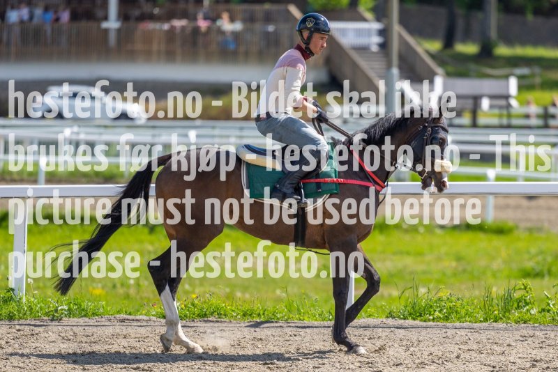 20220604-132655-DSC9435