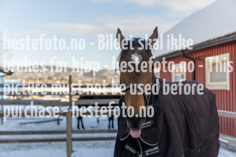 20220205-122407-DSC1063
