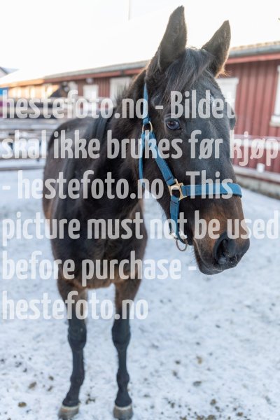 20220205-122831-DSC1122