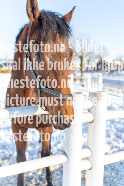20220205-123726-DSC1231