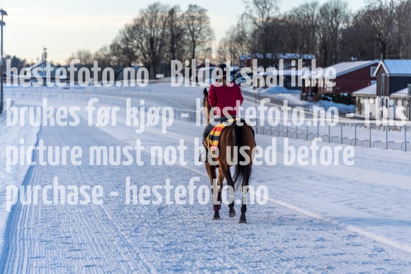 20220206-131522-DSC1510