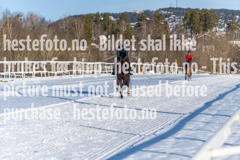 20220206-132519-DSC1564