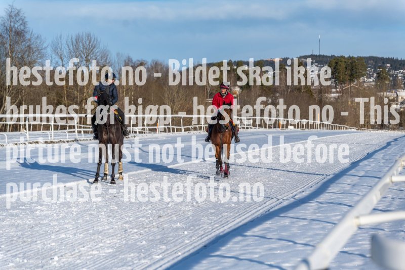 20220206-132527-DSC1575